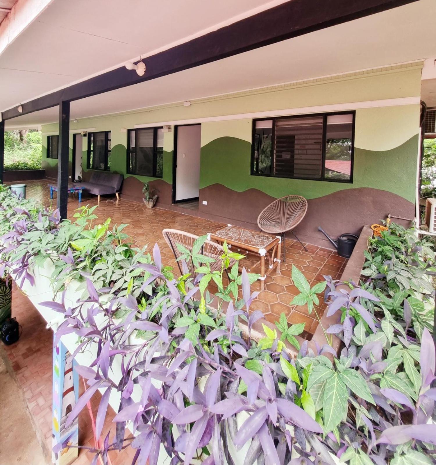 Casa Pura Vida Surf Hostel - Tamarindo Costa Rica Zewnętrze zdjęcie